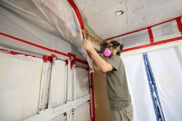 Best Indoor Air Quality Assessment  in Hillsborough, NC
