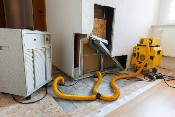 Best Water Damage & Mold Remediation  in Hillsborough, NC
